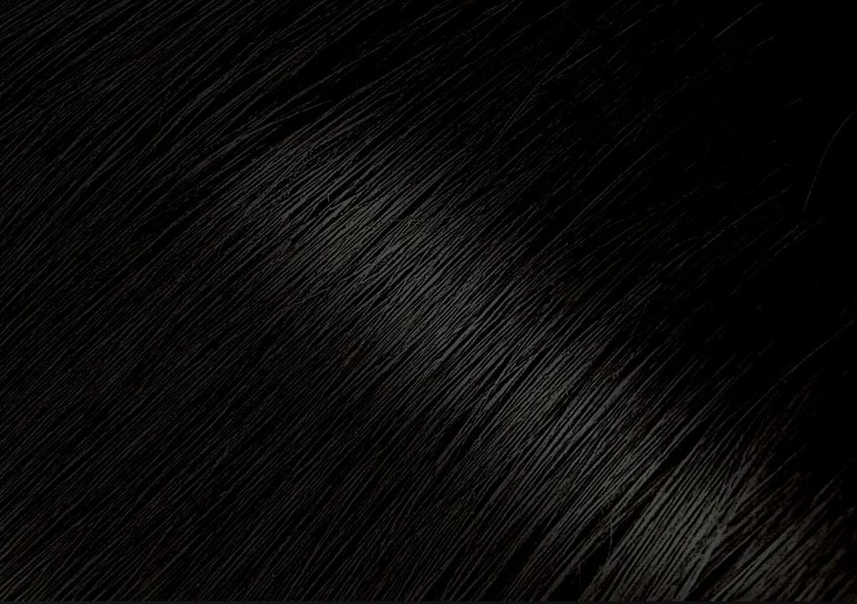 Glamour Us_Bigen_Hair_Permanent Powder Hair Color_Black Brown_58 The best affordable Latina and Mexican makeup, beauty and cosmetics supply store in Chula Vista, San Diego