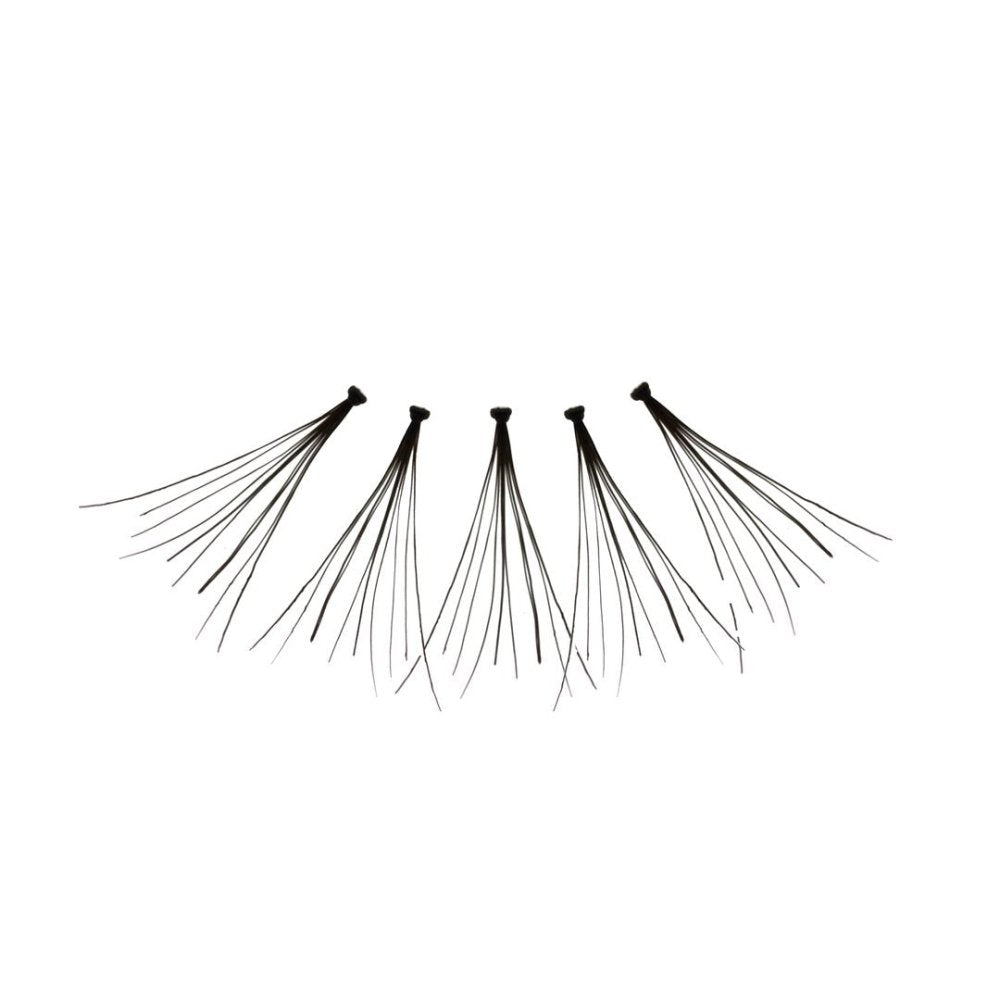 Glamour Us_Amorus_Lashes_Flare Long Individual Classic False Lashes__AM - CL - FL The best affordable Latina and Mexican makeup, beauty and cosmetics supply store in Chula Vista, San Diego