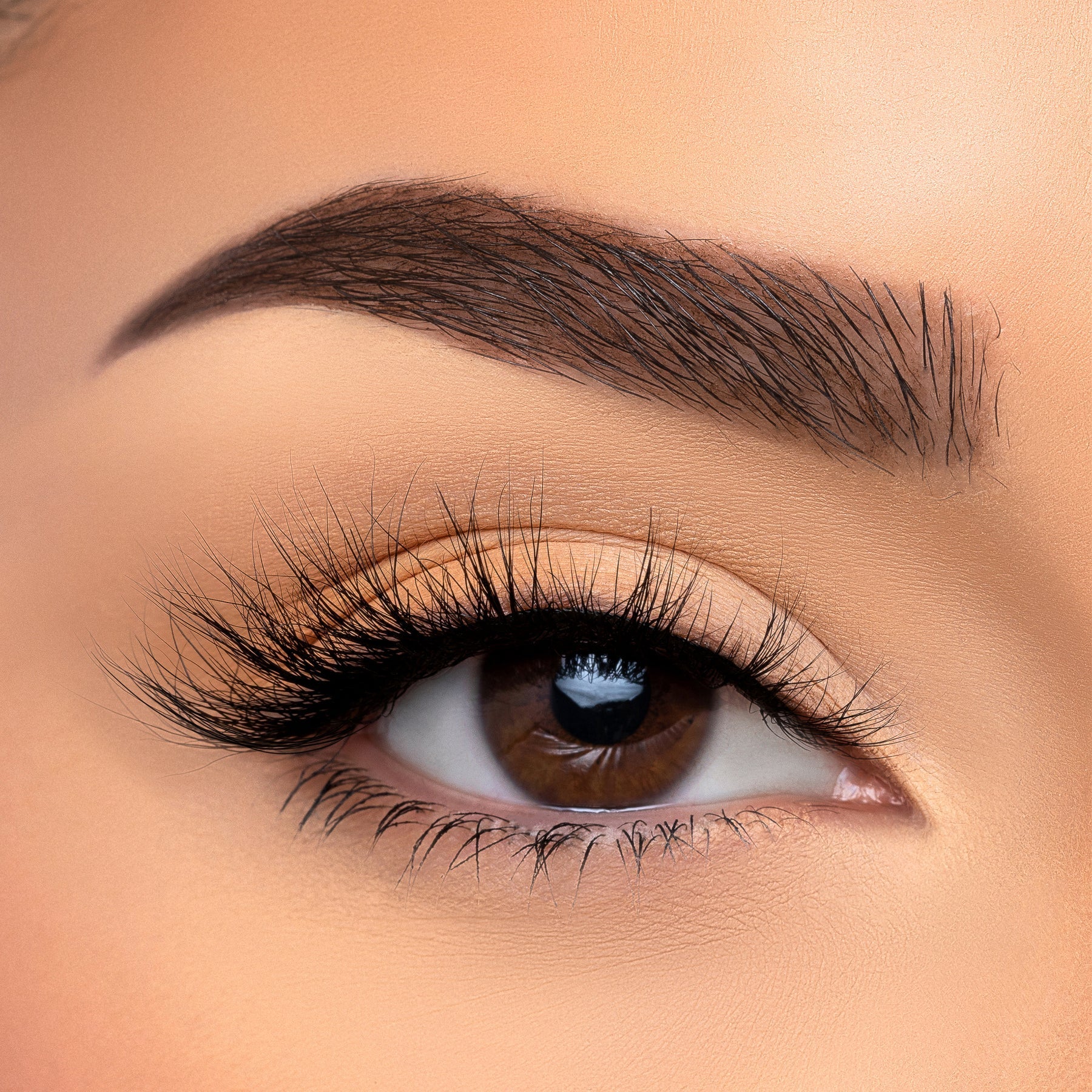 Glamour Us_Beauty Creations_Lashes_Admit It 3D Faux Mink Lashes__Admit It The best affordable Latina and Mexican makeup, beauty and cosmetics supply store in Chula Vista, San Diego