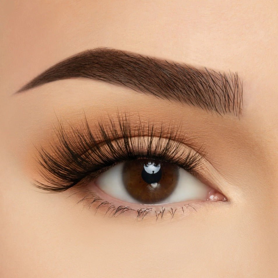 Glamour Us_Beauty Creations_Lashes_Hollywood TMS Soft Silk False Lashes__ELTS - 11 The best affordable Latina and Mexican makeup, beauty and cosmetics supply store in Chula Vista, San Diego
