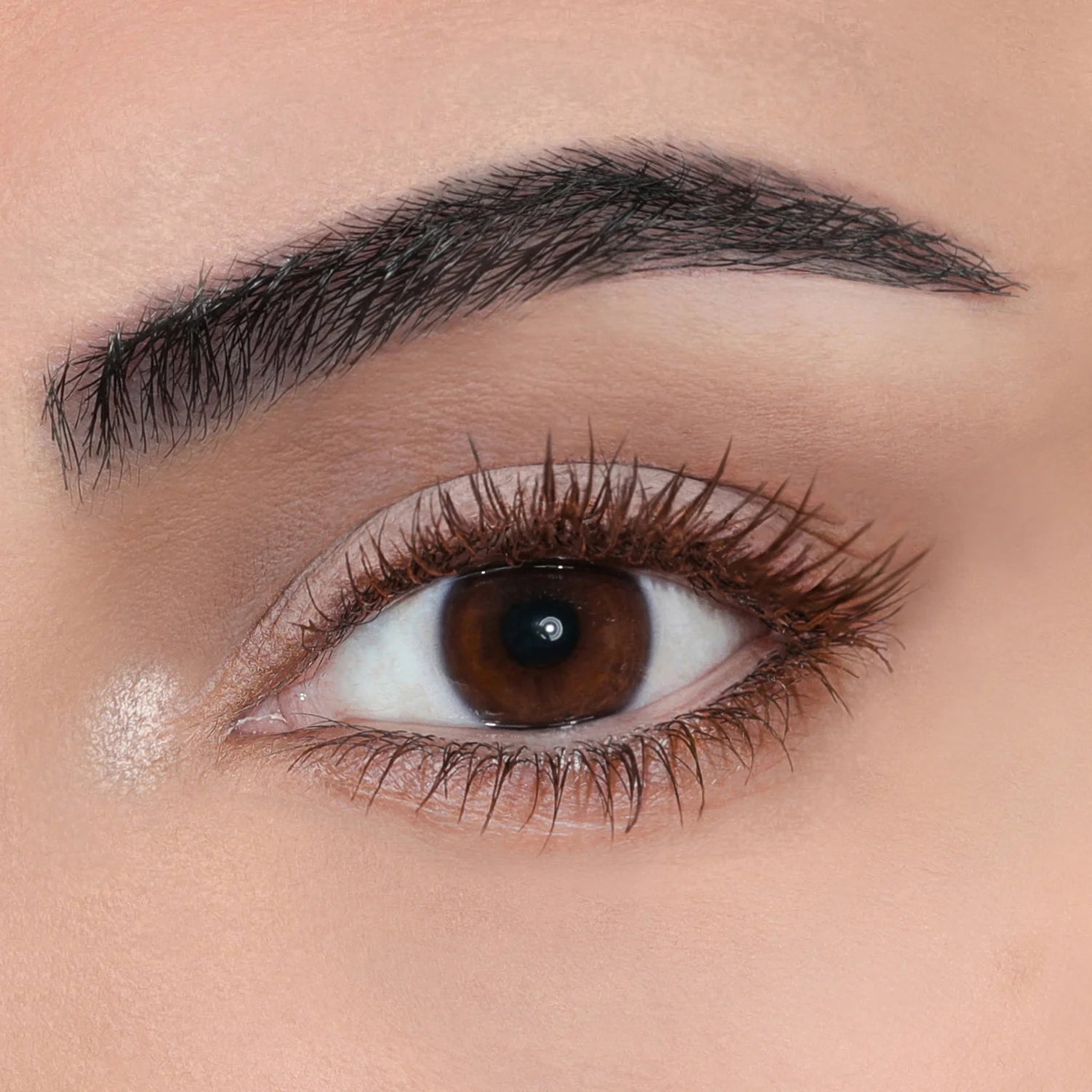 Glamour Us_Prosa_Makeup_Brown - 4 en 1 Eyelash Mascara__4EN1 - BROWN The best affordable Latina and Mexican makeup, beauty and cosmetics supply store in Chula Vista, San Diego