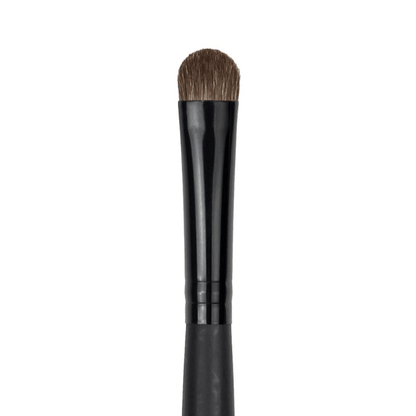 Glamour Us_Amorus_Tools &amp; Brushes_Large Eyeshadow 923 - Pro Makeup Brush__BR-923 The best affordable Latina and Mexican makeup, beauty and cosmetics supply store in Chula Vista, San Diego