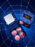 Glamour Us_Beauty Creations_Makeup_Beauty Creations x Coraline "Mother&