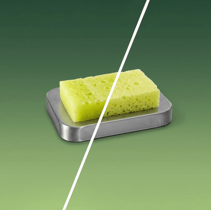 Glamour Us_T.TAiO_Skincare_Cucumber Melon 2-in-1 Soap and Sponge Esponjabon__ESCML The best affordable Latina and Mexican makeup, beauty and cosmetics supply store in Chula Vista, San Diego