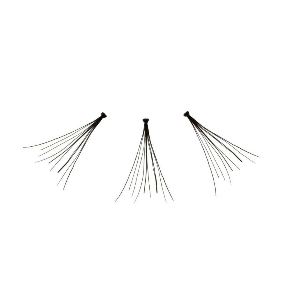 Glamour Us_Amorus_Lashes_Flare Long Individual Classic False Lashes__AM - CL - FL The best affordable Latina and Mexican makeup, beauty and cosmetics supply store in Chula Vista, San Diego