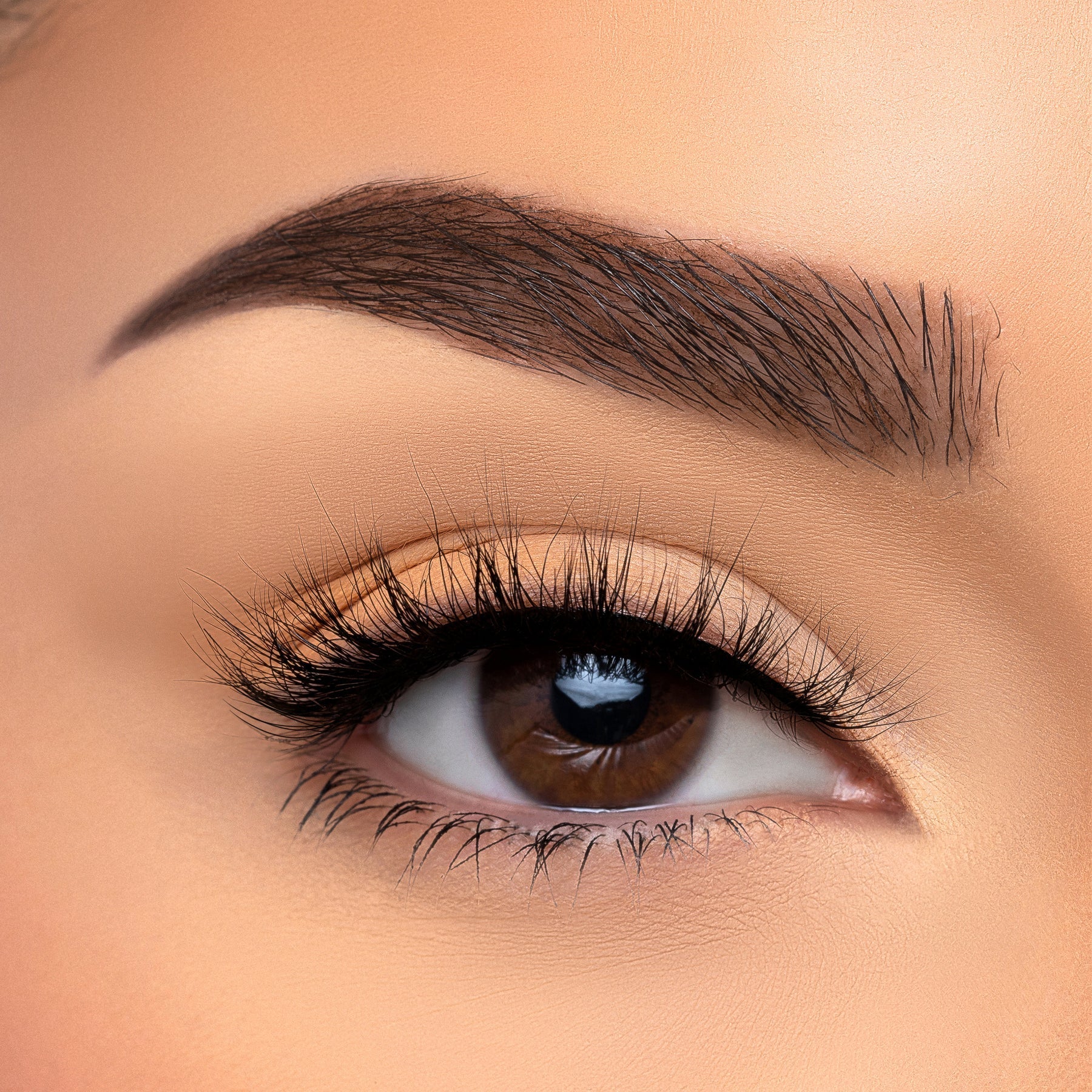 Glamour Us_Beauty Creations_Lashes_Best Kept Secret 3D Faux Mink Lashes__Best Kept Secret The best affordable Latina and Mexican makeup, beauty and cosmetics supply store in Chula Vista, San Diego