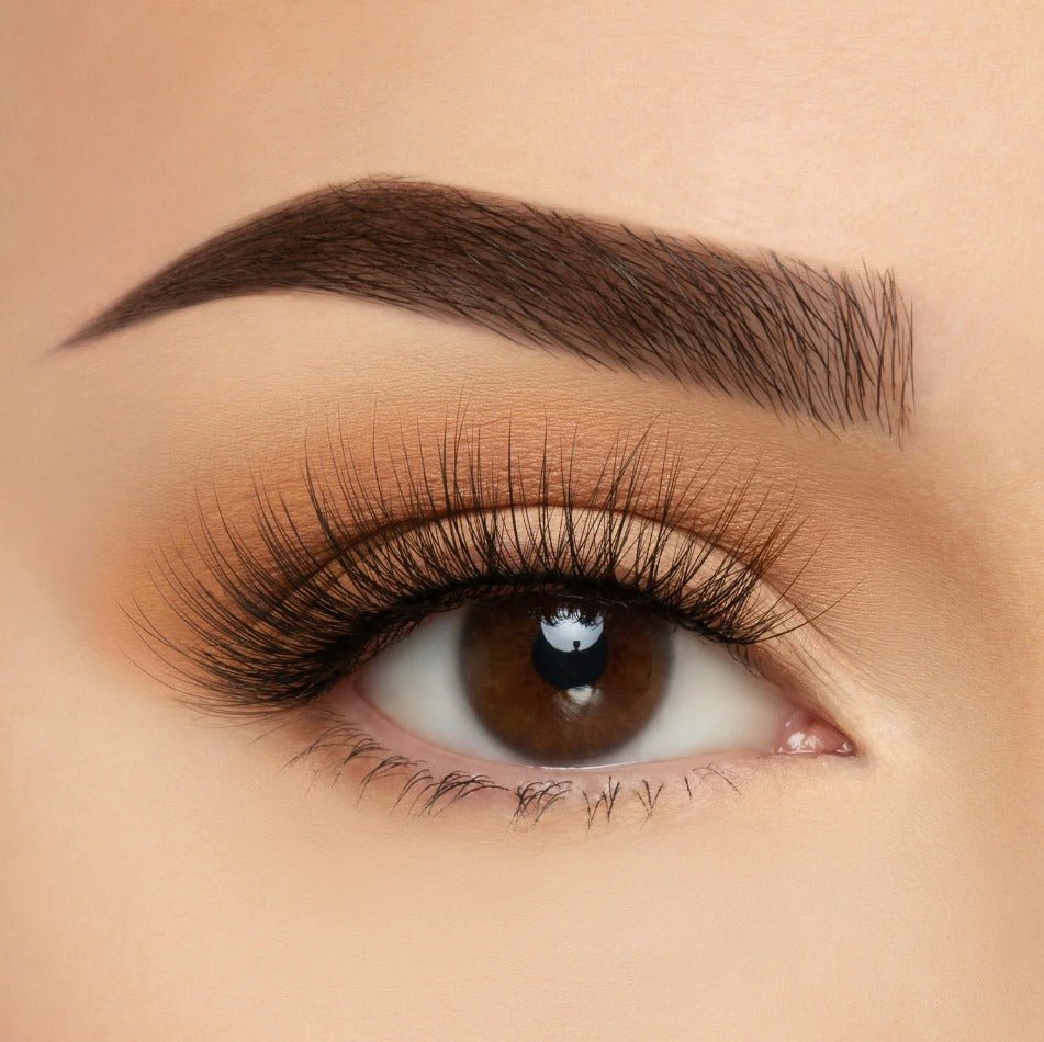 Glamour Us_Beauty Creations_Lashes_Dubai TMS Soft Silk False Lashes__ELTS - 16 The best affordable Latina and Mexican makeup, beauty and cosmetics supply store in Chula Vista, San Diego