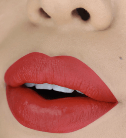 Glamour Us_Moira_Makeup_Matte Liquid Lipstick_Brick_MLL026